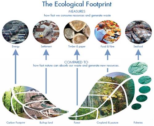 footprint impronta ecologica
